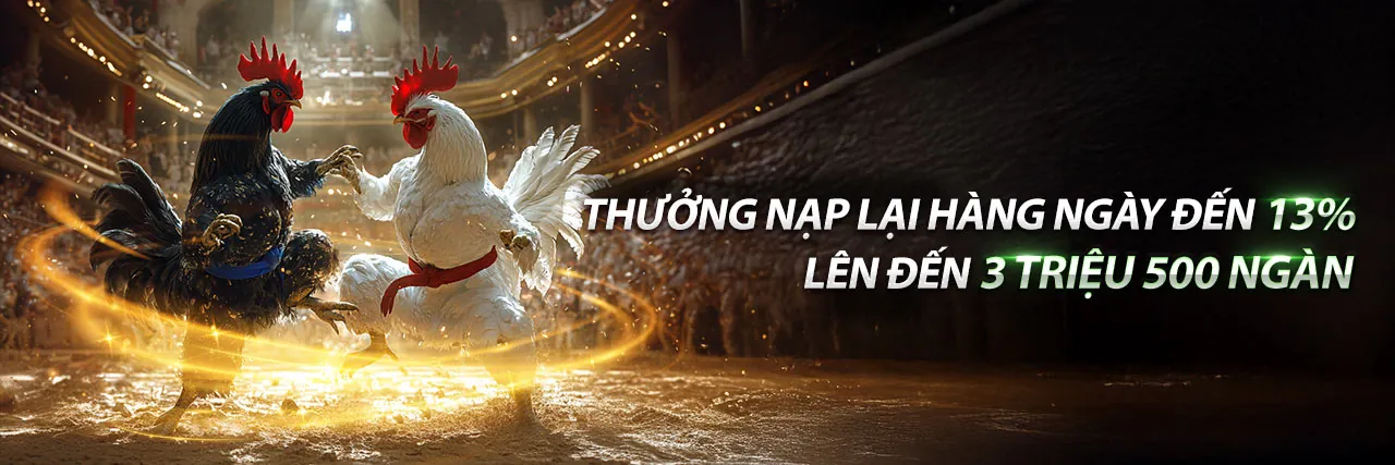 Sân vận động với ánh đèn rực rỡ, người hâm mộ cuồng nhiệt, biểu tượng của cá cược thể thao đỉnh cao tại TT888