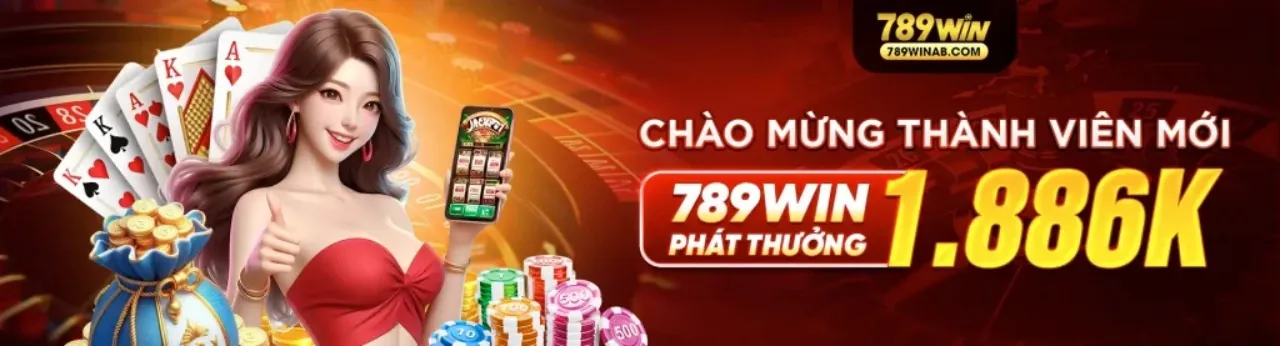 Cách TT888 link vào sử dụng thông tin để quản lý dịch vụ